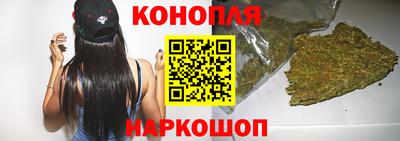 МДПВ Кингисепп