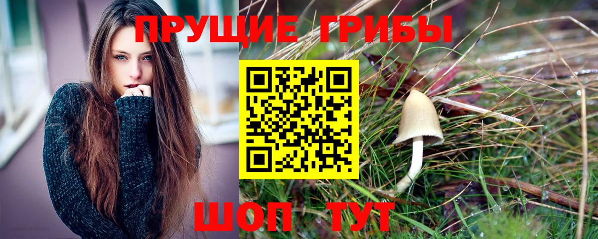 Коркино  Галлюциногенные грибы GOLDEN TEACHER  Вход с VPN 